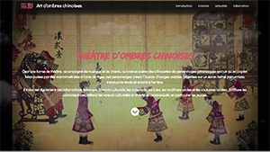 cover of ombres chinoises